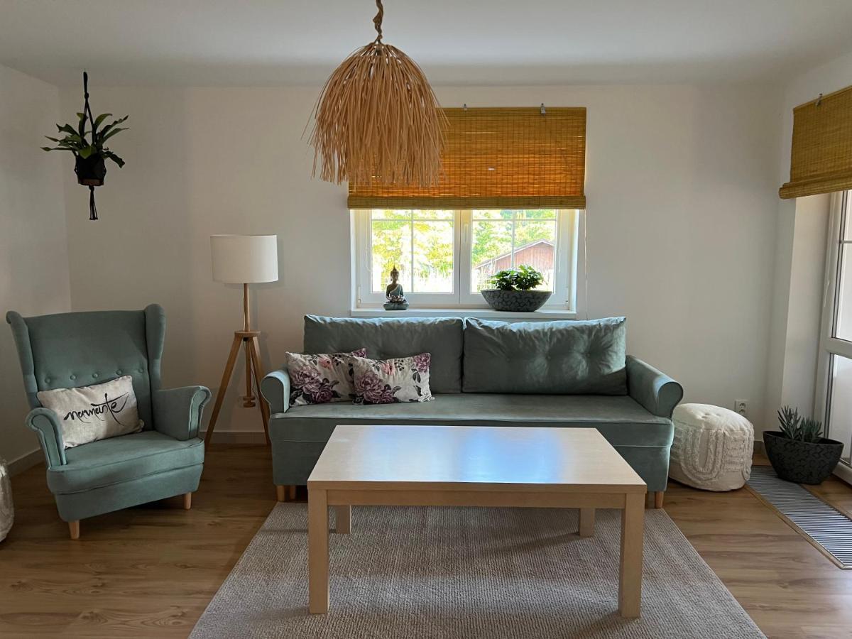 Apartman Elen - 6 Luzek, 86 M2 ديشين المظهر الخارجي الصورة